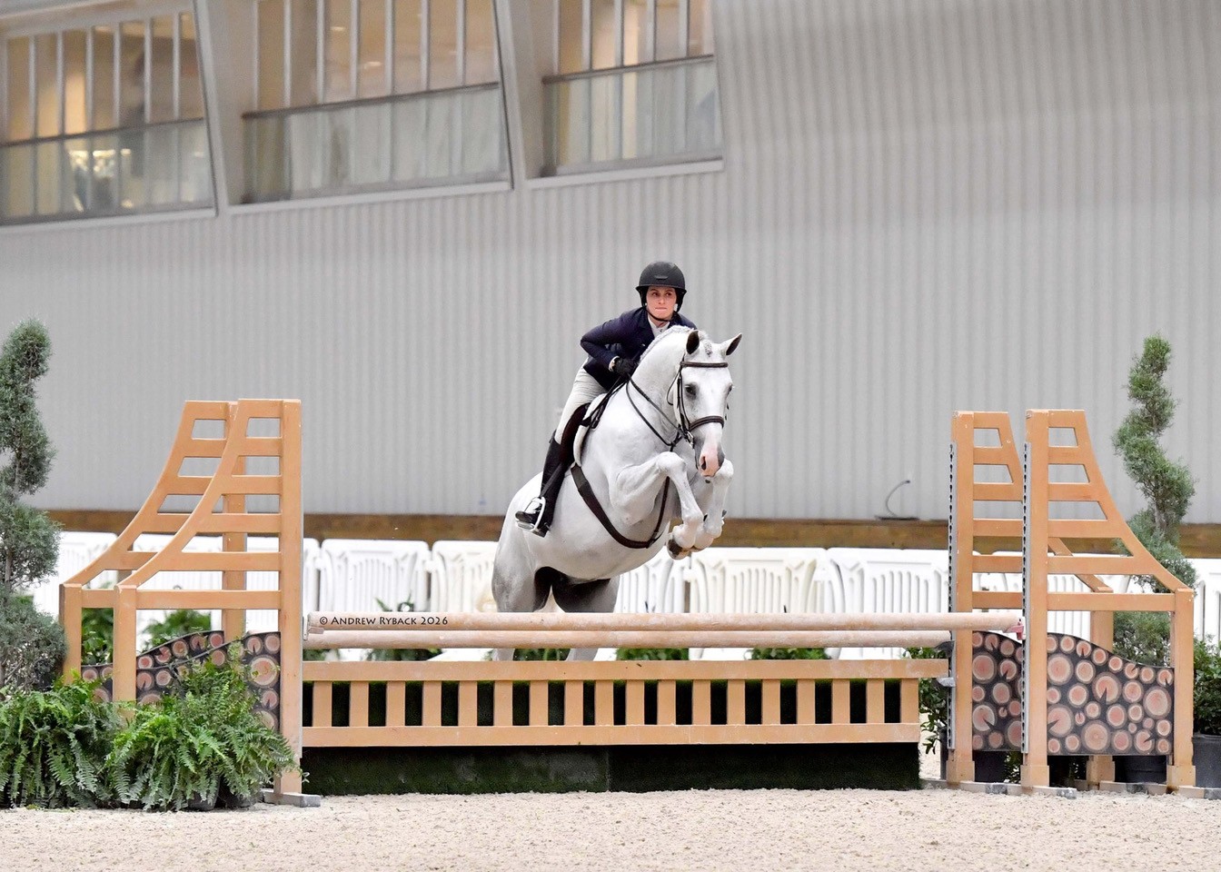 HICKSTEAD HOUDINI