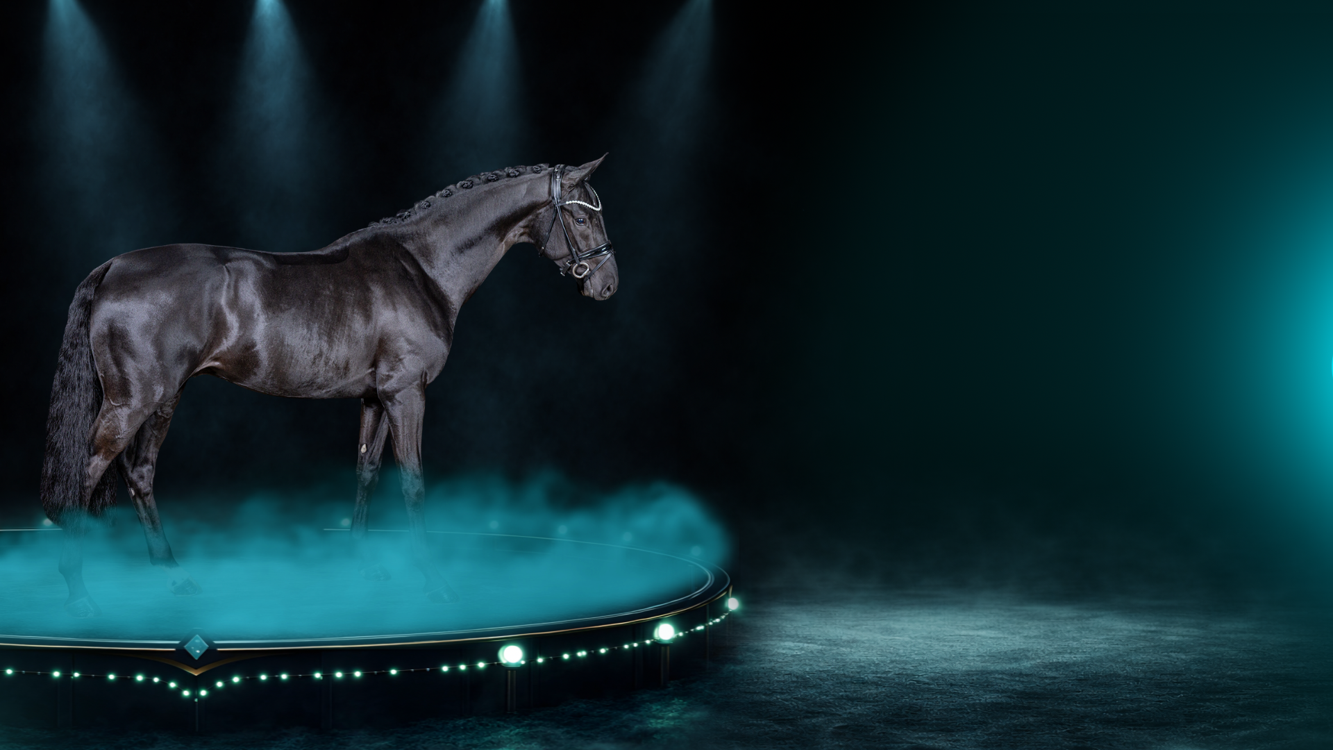 Header Banner