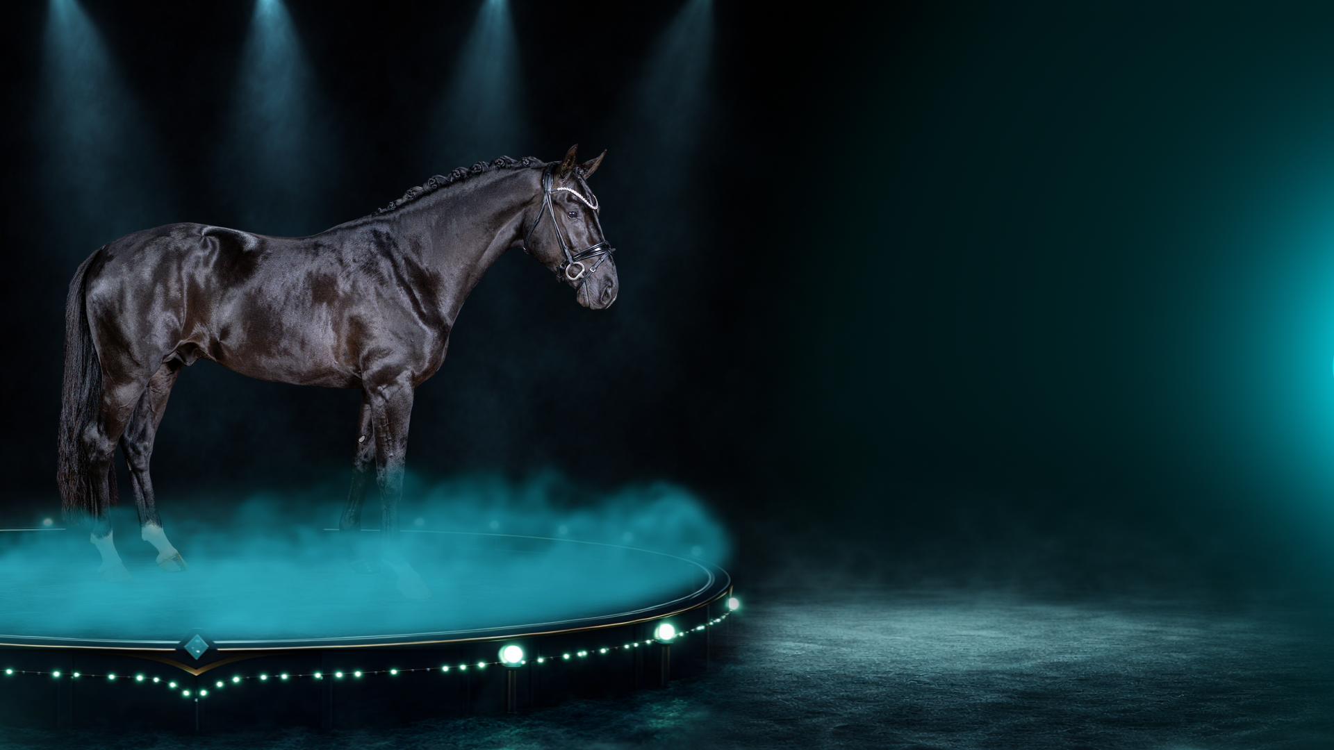 Header Banner
