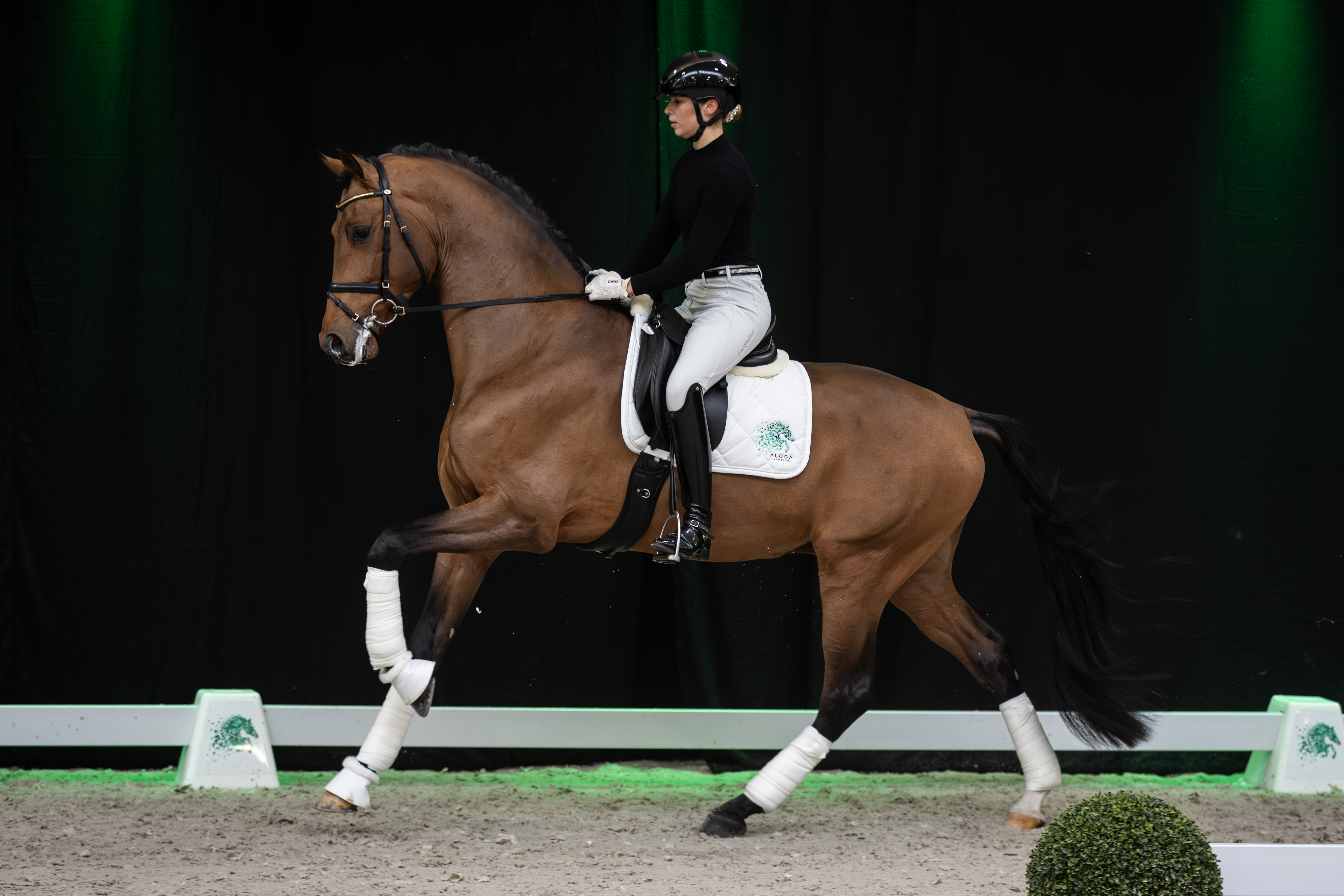 Vino Frizzante | Aloga Auction